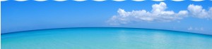 top_bg01
